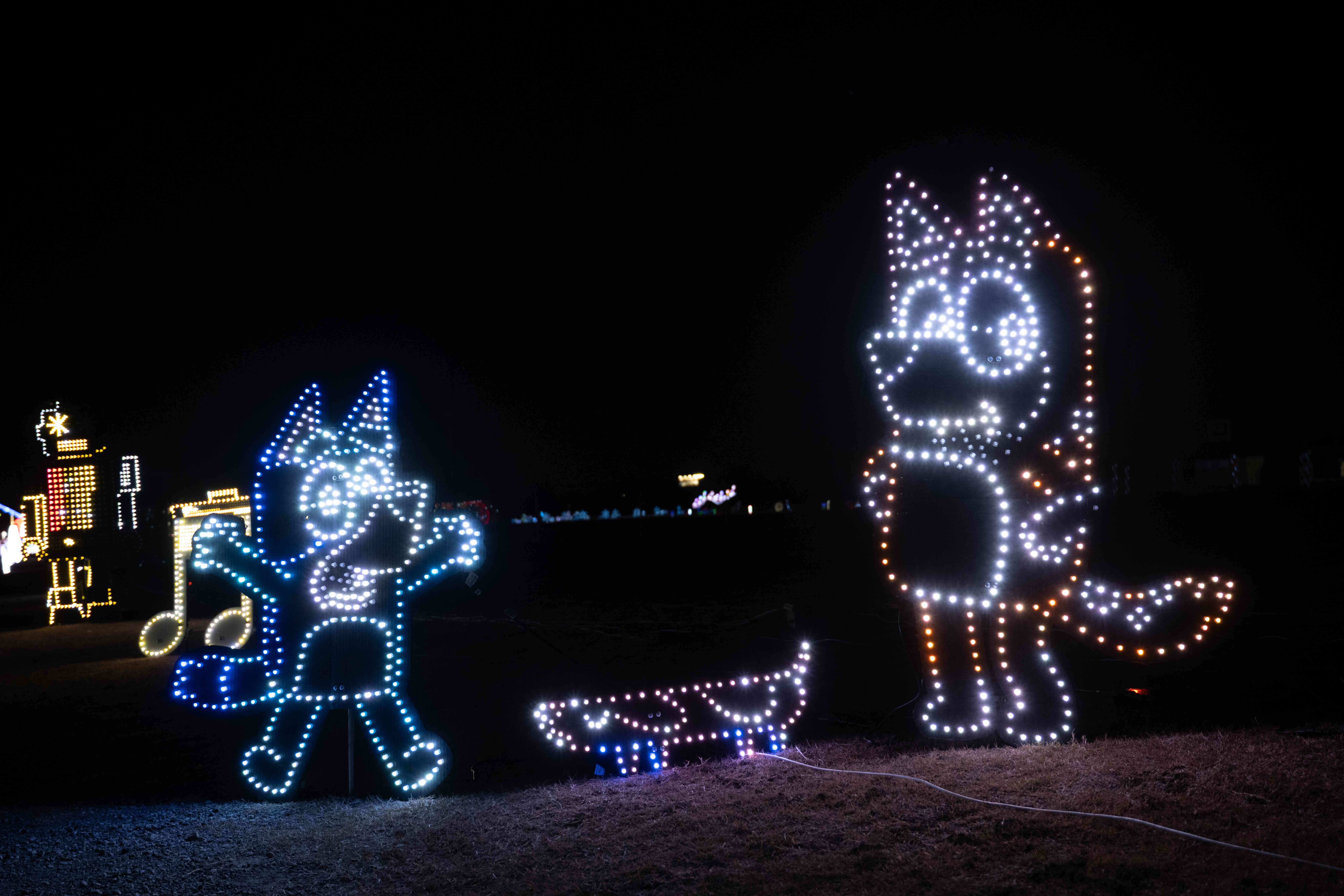 Illuminated LED characters